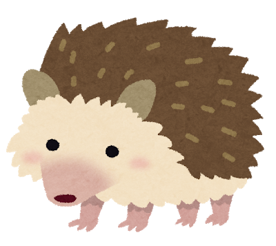 意外に飼いやすい棘のかたまりハリネズミについてご紹介します めるブログ